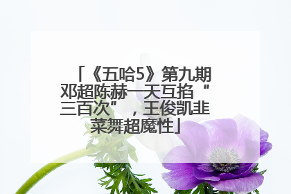 《五哈5》第九期邓超陈赫一天互掐“三百次”，王俊凯韭菜舞超魔性