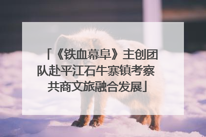 《铁血幕阜》主创团队赴平江石牛寨镇考察 共商文旅融合发展