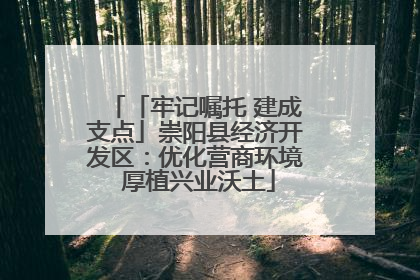 「牢记嘱托 建成支点」崇阳县经济开发区：优化营商环境 厚植兴业沃土
