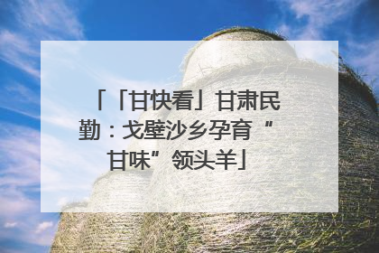 「甘快看」甘肃民勤：戈壁沙乡孕育“甘味”领头羊