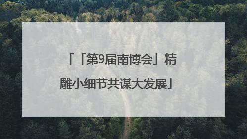 「第9届南博会」精雕小细节共谋大发展