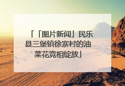 「图片新闻」民乐县三堡镇徐寨村的油菜花竞相绽放