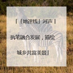 「地评线」河声丨执笔融合发展，描绘城乡共富美景