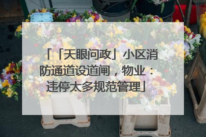 「天眼问政」小区消防通道设道闸，物业：违停太多规范管理