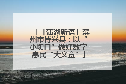 「蒲湖新语」滨州市博兴县：以“小切口”做好数字惠民“大文章”