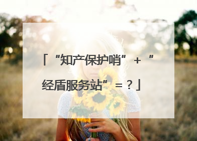 “知产保护哨”+“经盾服务站”=？