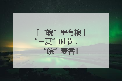 “皖”里有粮｜“三夏”时节，一“皖”麦香