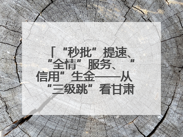 “秒批”提速、“全情”服务、“信用”生金——从“三级跳”看甘肃玉门市优化营商环境的进阶之路