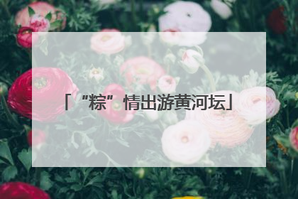 “粽”情出游黄河坛