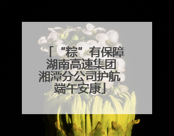 “粽”有保障 湖南高速集团湘潭分公司护航端午安康
