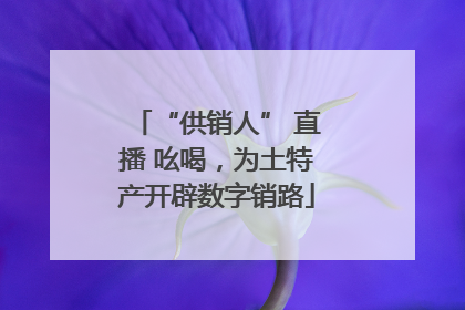 “供销人” 直播 吆喝，为土特产开辟数字销路