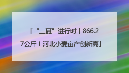 “三夏”进行时丨866.27公斤！河北小麦亩产创新高
