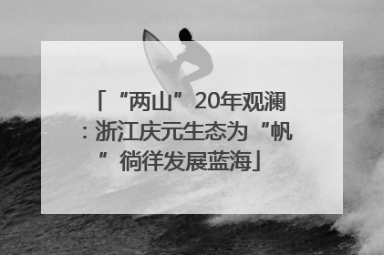 “两山”20年观澜：浙江庆元生态为“帆”徜徉发展蓝海