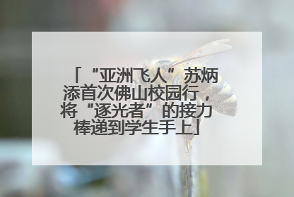 “亚洲飞人”苏炳添首次佛山校园行，将“逐光者”的接力棒递到学生手上