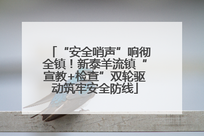 “安全哨声”响彻全镇！新泰羊流镇“宣教+检查”双轮驱动筑牢安全防线