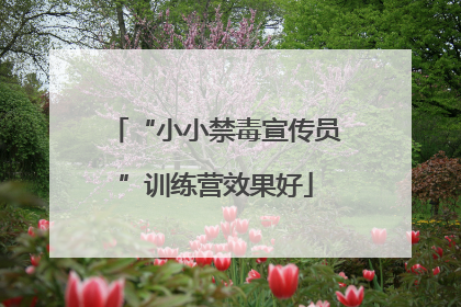 “小小禁毒宣传员”训练营效果好