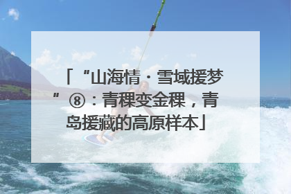 “山海情・雪域援梦”⑧：青稞变金稞，青岛援藏的高原样本