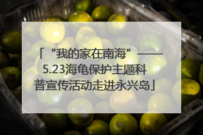 “我的家在南海”——5.23海龟保护主题科普宣传活动走进永兴岛