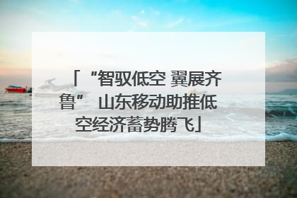 “智驭低空 翼展齐鲁” 山东移动助推低空经济蓄势腾飞