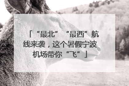 “最北”“最西”航线来袭，这个暑假宁波机场带你“飞”