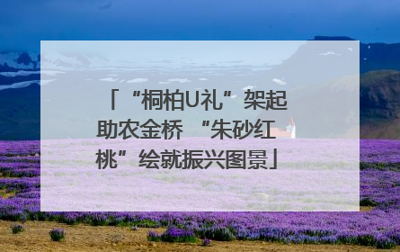 “桐柏U礼”架起助农金桥 “朱砂红桃”绘就振兴图景