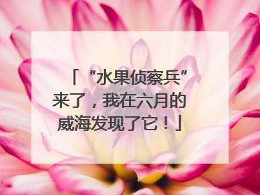 “水果侦察兵”来了，我在六月的威海发现了它！