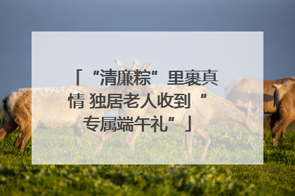 “清廉粽”里裹真情 独居老人收到“专属端午礼”