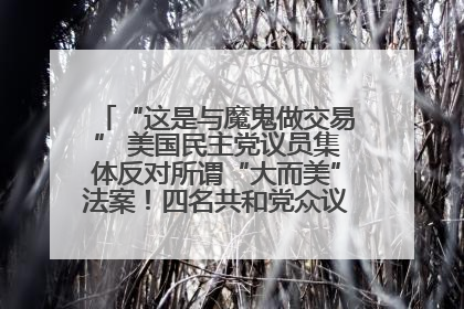 “这是与魔鬼做交易” 美国民主党议员集体反对所谓“大而美”法案！四名共和党众议员投反对票