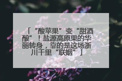 “酸苹果”变“甜酒酿”！盐源高原果的华丽转身，靠的是这场浙川千里“联姻”