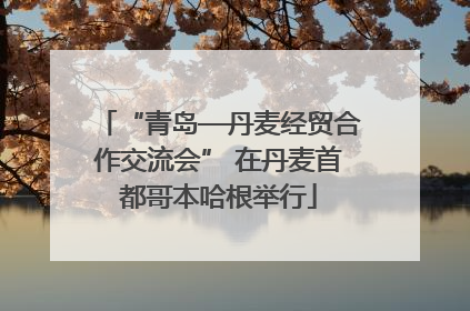 “青岛—丹麦经贸合作交流会” 在丹麦首都哥本哈根举行