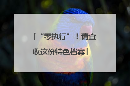 “零执行”！请查收这份特色档案