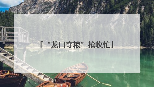“龙口夺粮”抢收忙