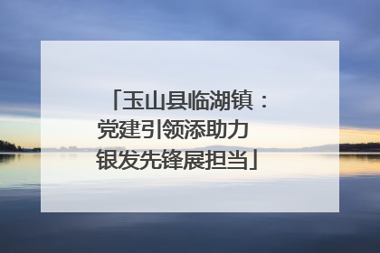 玉山县临湖镇：党建引领添助力 银发先锋展担当