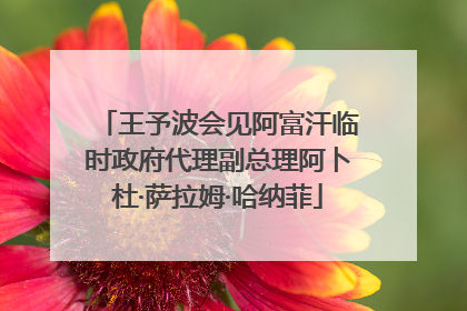 王予波会见阿富汗临时政府代理副总理阿卜杜·萨拉姆·哈纳菲
