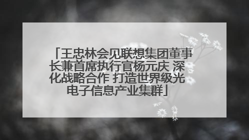 王忠林会见联想集团董事长兼首席执行官杨元庆 深化战略合作 打造世界级光电子信息产业集群