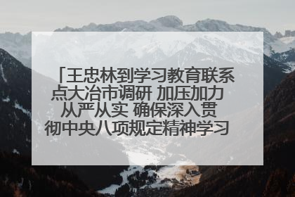 王忠林到学习教育联系点大冶市调研 加压加力 从严从实 确保深入贯彻中央八项规定精神学习教育取得实效