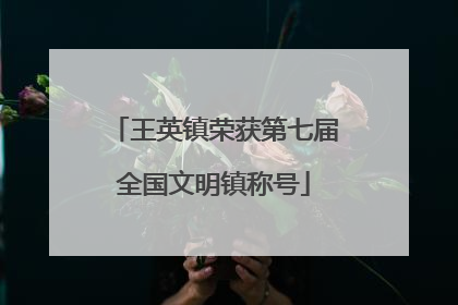 王英镇荣获第七届全国文明镇称号