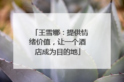 王雪娜：提供情绪价值，让一个酒店成为目的地