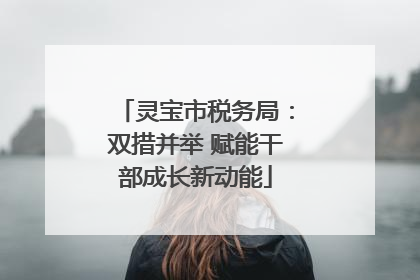 灵宝市税务局：双措并举 赋能干部成长新动能