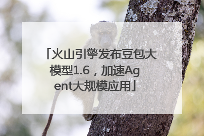 火山引擎发布豆包大模型1.6，加速Agent大规模应用