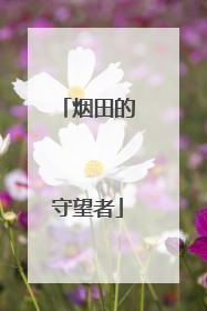 烟田的守望者