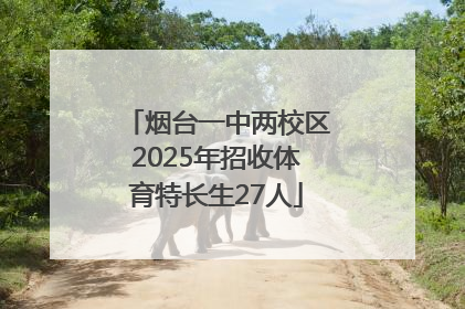 烟台一中两校区2025年招收体育特长生27人