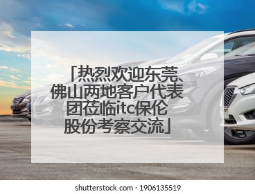 热烈欢迎东莞、佛山两地客户代表团莅临itc保伦股份考察交流
