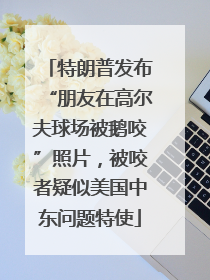特朗普发布“朋友在高尔夫球场被鹅咬”照片，被咬者疑似美国中东问题特使