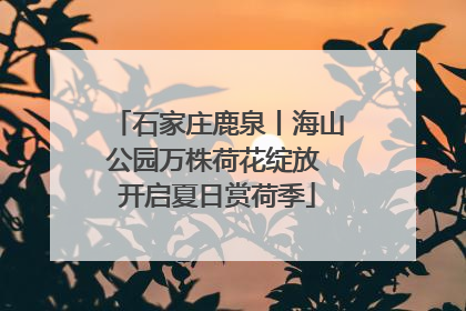 石家庄鹿泉丨海山公园万株荷花绽放 开启夏日赏荷季