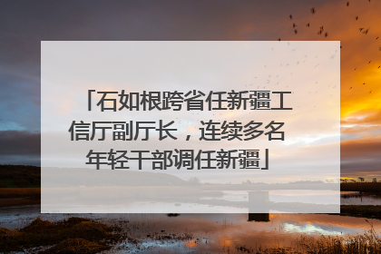 石如根跨省任新疆工信厅副厅长，连续多名年轻干部调任新疆