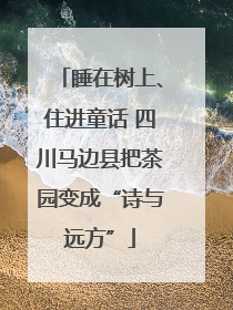 睡在树上、住进童话 四川马边县把茶园变成“诗与远方”