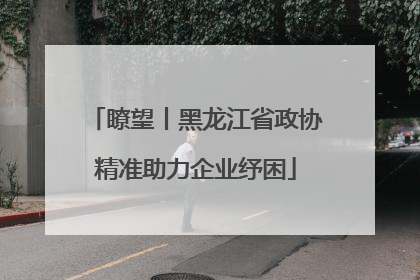 瞭望丨黑龙江省政协精准助力企业纾困