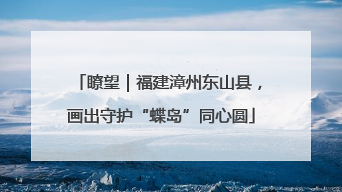 瞭望｜福建漳州东山县，画出守护“蝶岛”同心圆