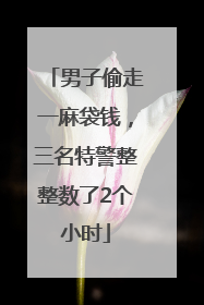 男子偷走一麻袋钱，三名特警整整数了2个小时